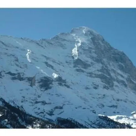 شقة Uf Dr Liwwi By Interhome جريندلوالد