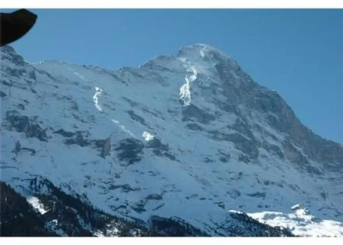 Appartement Uf Dr Liwwi By Interhome Grindelwald