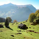 Uf Dr Liwwi By Interhome Appartamento Grindelwald