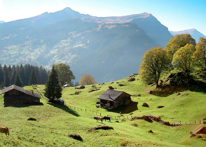 Uf Dr Liwwi By Interhome Apartament Grindelwald